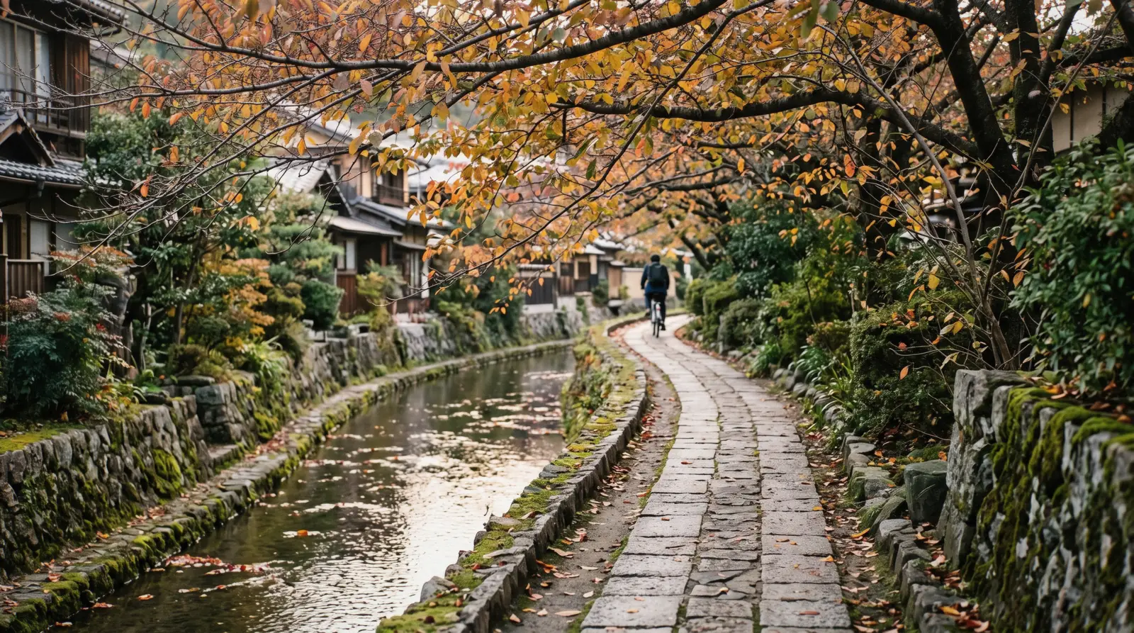 The canal and stone walkway of the Philosopher's Path under bare cherry branches in early morning, Kyoto Japan