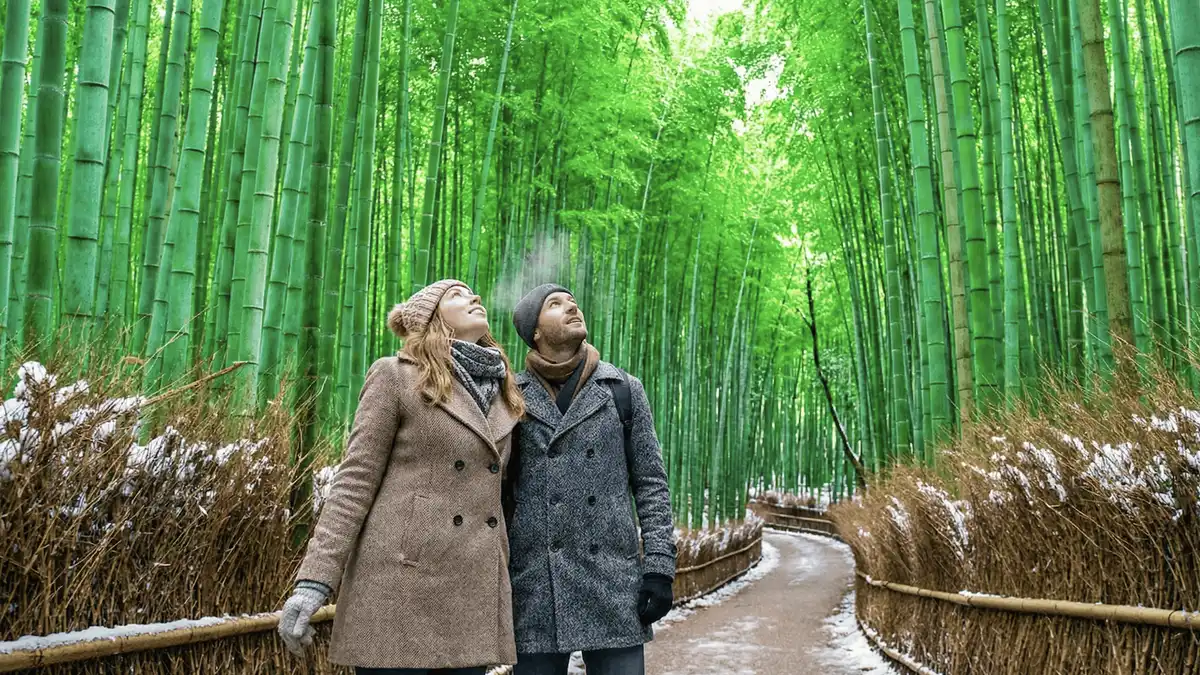 Tenryu-ji's pond garden below the Arashiyama hills on a small-group tour, Kyoto Japan
